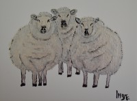 /album/fotogalerij/tegel-schapen-1-jpg/